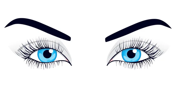 stock vector Women's eyes. Vector illustration.