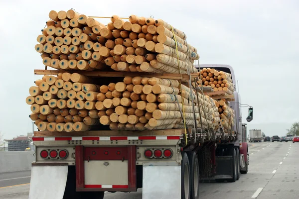 Caminhão de transporte de madeira — Fotografia de Stock