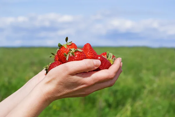 Handfull jordgubbar — Stockfoto