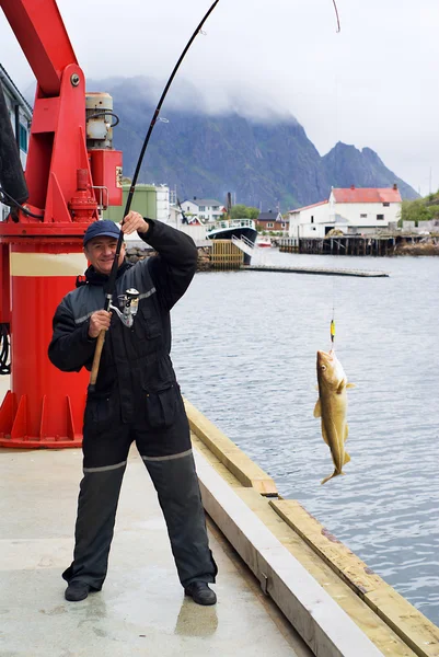 Fiskare på piren på lofoten island — Stockfoto