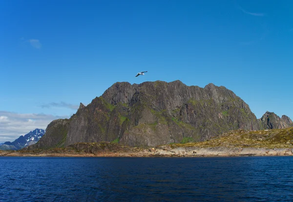 Lofoten eiland, Noord Noorwegen — Stockfoto