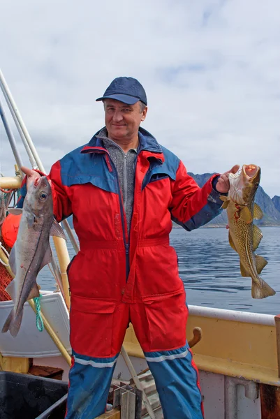 Visser met vis op de boot in de buurt van het eiland lofoten — Stockfoto