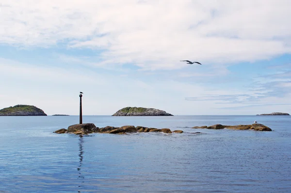 Gaviotas sobre una piedra en el mar noruego — Foto de Stock
