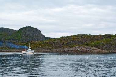 lofoten bir fiyort, balıkçı teknesi