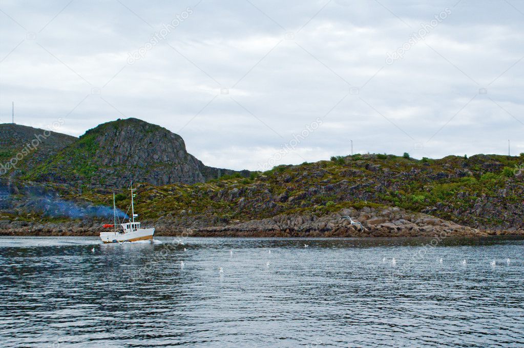 Fishing boat in a fjord of Lofoten