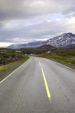 Norveç dağlarında yol. bjornfild geçmek.