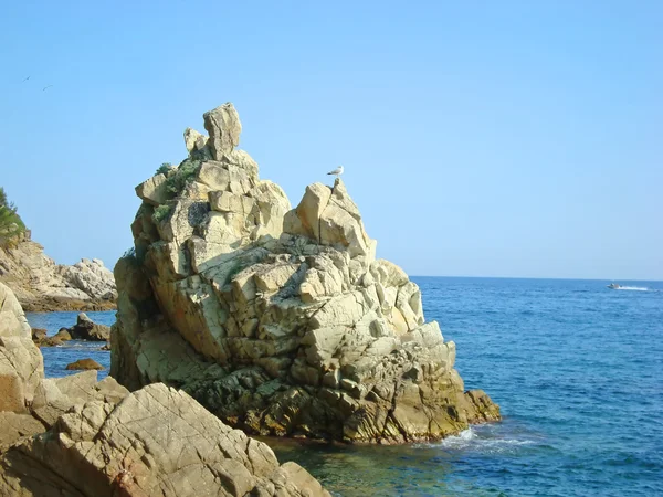 Costa brava yayılma alanındaki sahil şeridi — Stok fotoğraf