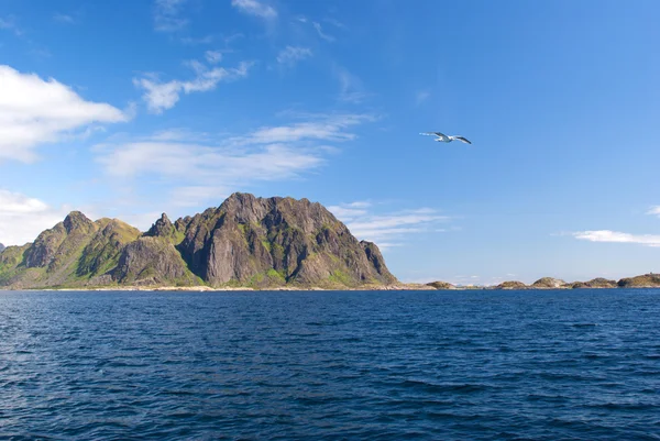 Seagull over zee in de buurt van Noorse eiland skrova — Stockfoto