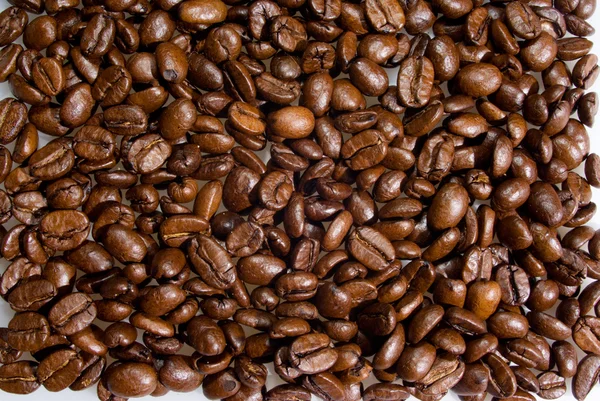 Hintergrund vieler Kaffeekörner — Stockfoto