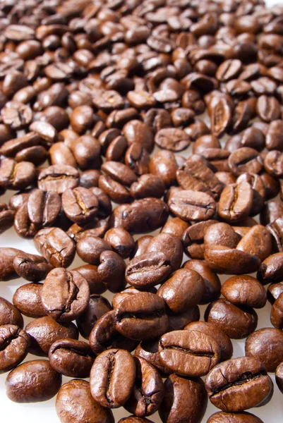 Viele Kaffeekörner — Stockfoto