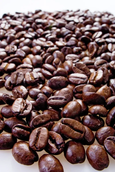 Bakgrund av många kaffekorn — Stockfoto