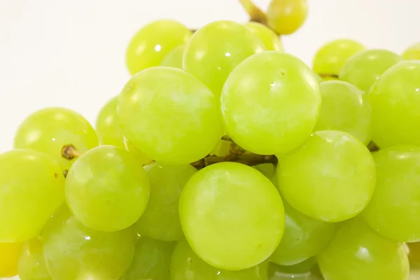 stock image Branch grapes