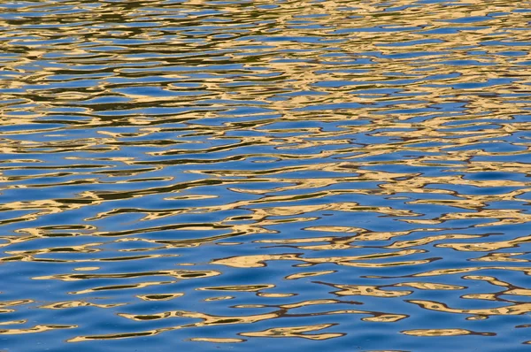 Golden reflection — Stock Photo, Image