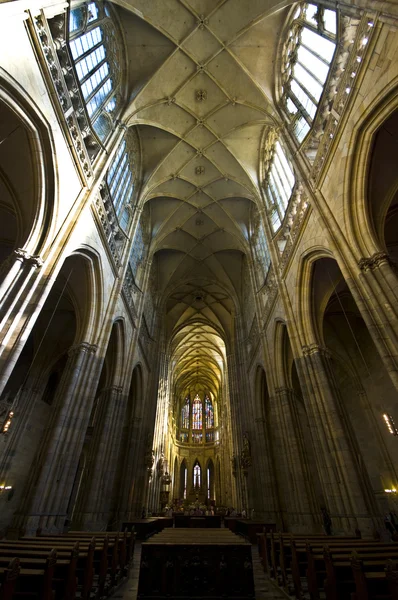 Catedral st vitus — Fotografia de Stock