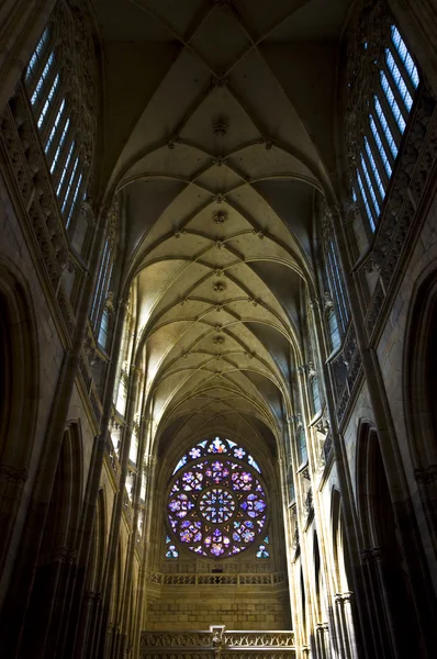 Cathédrale St Vitus — Photo