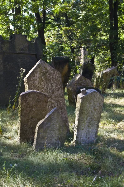 Judiska kyrkogården — Stockfoto