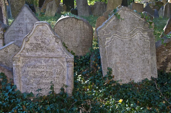 Jüdischer Friedhof — Stockfoto