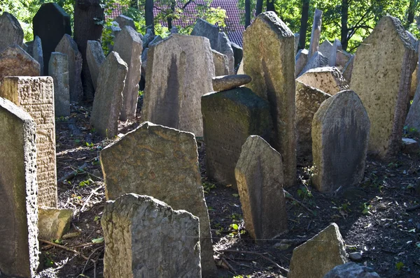 Židovský hřbitov — Stock fotografie