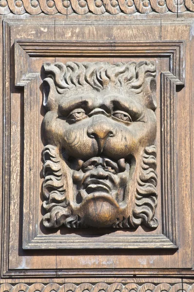 Wooden lion — Stock Photo, Image