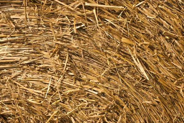 Bale Of Straw — Stock Photo, Image