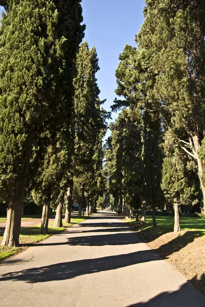 Via Appia Antica