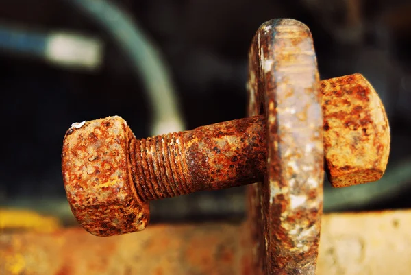 Rusty screw — Stock fotografie