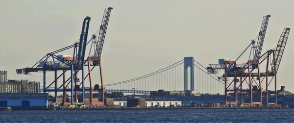 stock image Verrazano Narrows Bridge