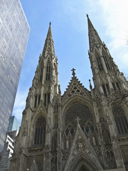 stock image St Patrick's Cathedral