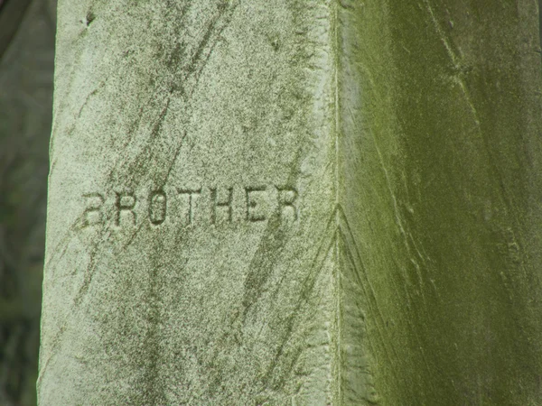 Broer — Stockfoto