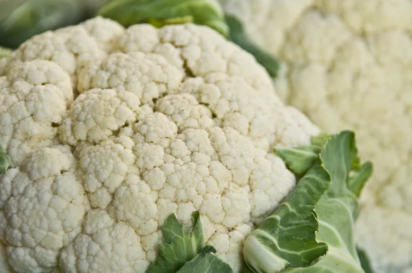 stock image Cauliflower