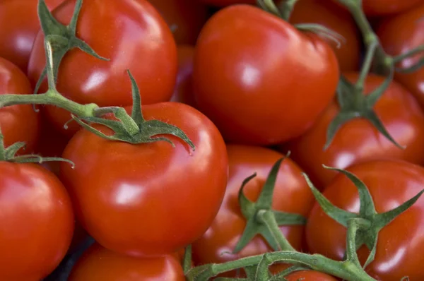 stock image Tomatos
