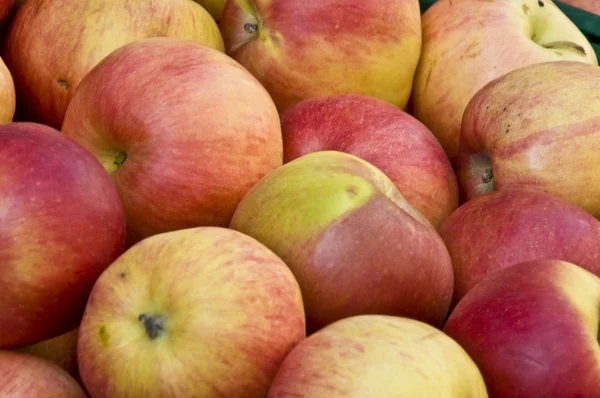 stock image Apples