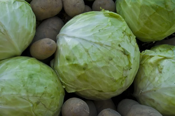 Cabbage and potatos — Stock Photo, Image