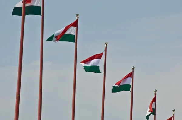 Bandeiras húngaras — Fotografia de Stock