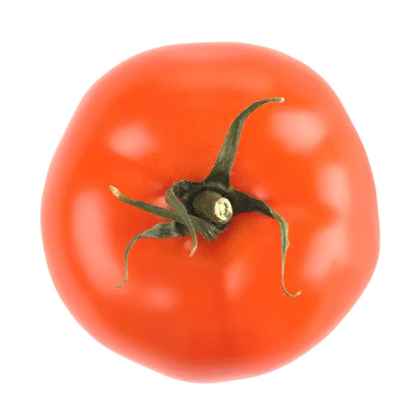 Tomate simple — Photo