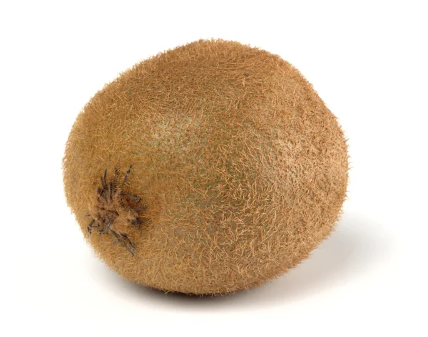 Kiwi maduro único — Foto de Stock