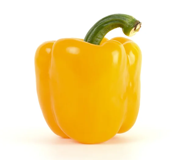 Singolo peperone giallo — Foto Stock