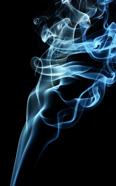 Blauwe rook — Stockfoto
