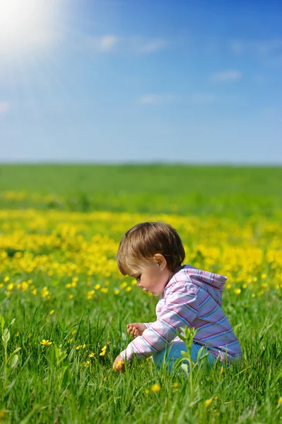 牧草地で子供の遊び — ストック写真