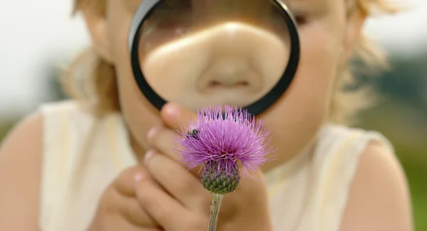 Criança está olhando para flor — Fotografia de Stock
