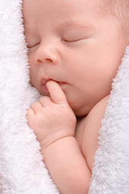 Cute newborn sleeps wrapped in blanket clipart