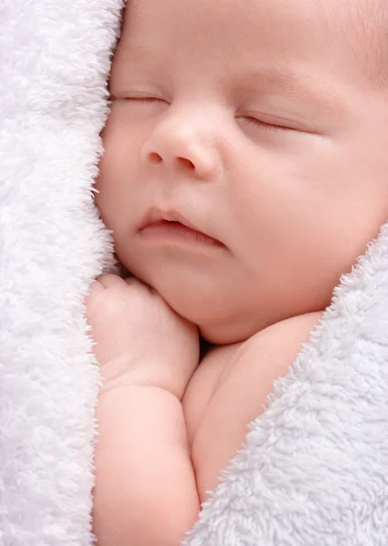 Cute newborn sleeps wrapped in blanket — Stock Photo, Image