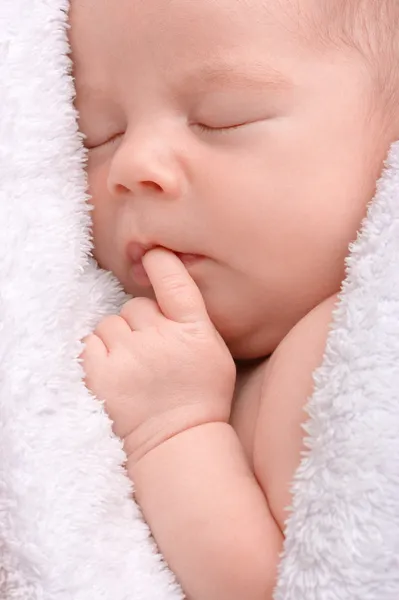 Lindo recién nacido duerme envuelto en manta — Foto de Stock