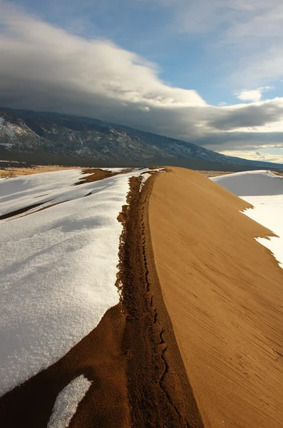 大沙丘国家公园，一氧化碳，美国 — 图库照片