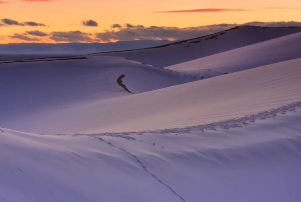Tramonto invernale sulle dune Immagine Stock