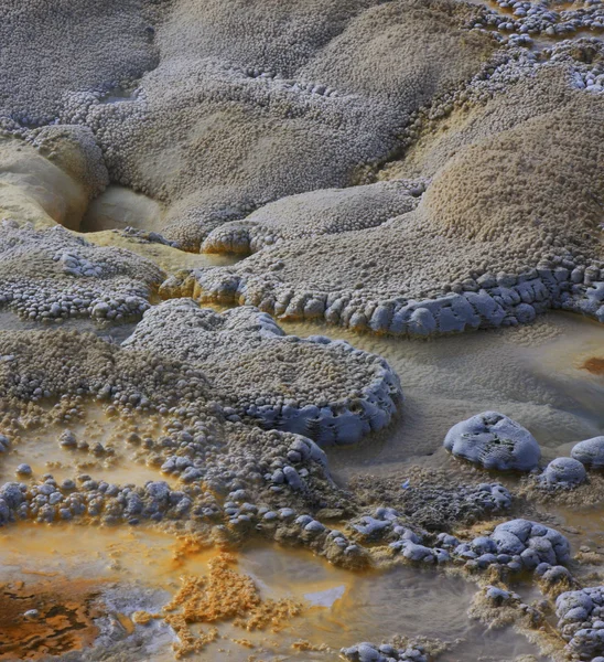 Yellowstone Ulusal Parkı. Kaplıcalar