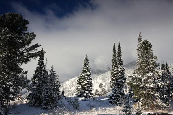 stock image Winter in a mountains