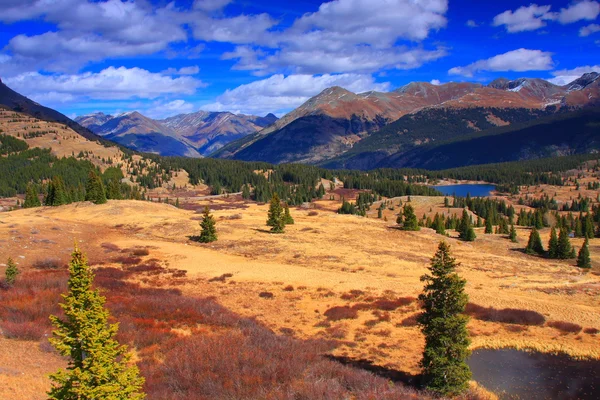 Herbst im Kolorado lizenzfreie Stockfotos