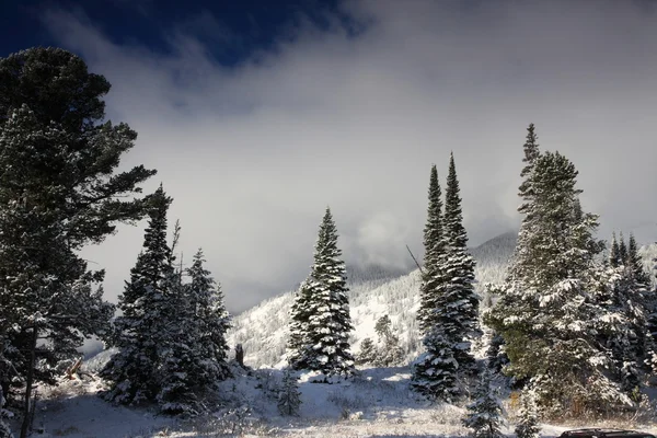 Inverno em umas montanhas Imagem De Stock