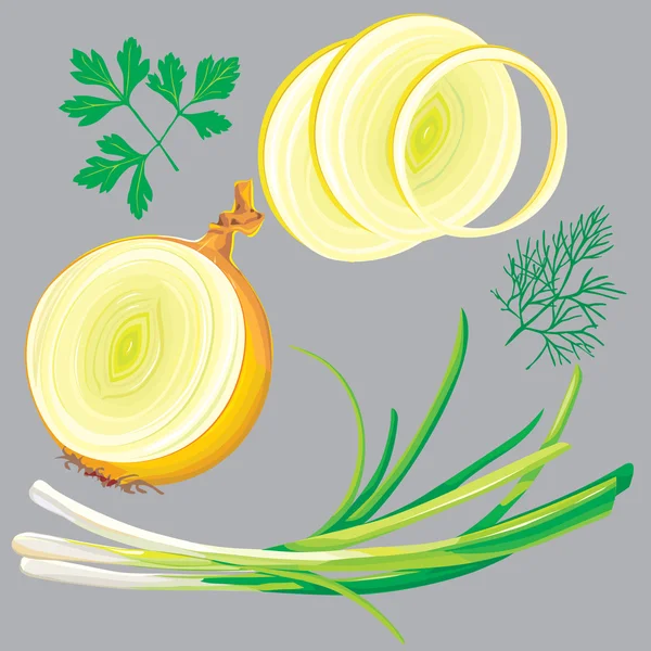 Oignon de printemps, persil, aneth, légumes verts — Image vectorielle